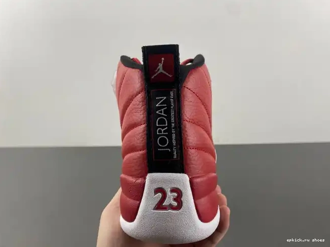 Rep 12 Alternate Jordan 130690-600 Air 0528